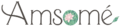Logo Amsomé Couleur