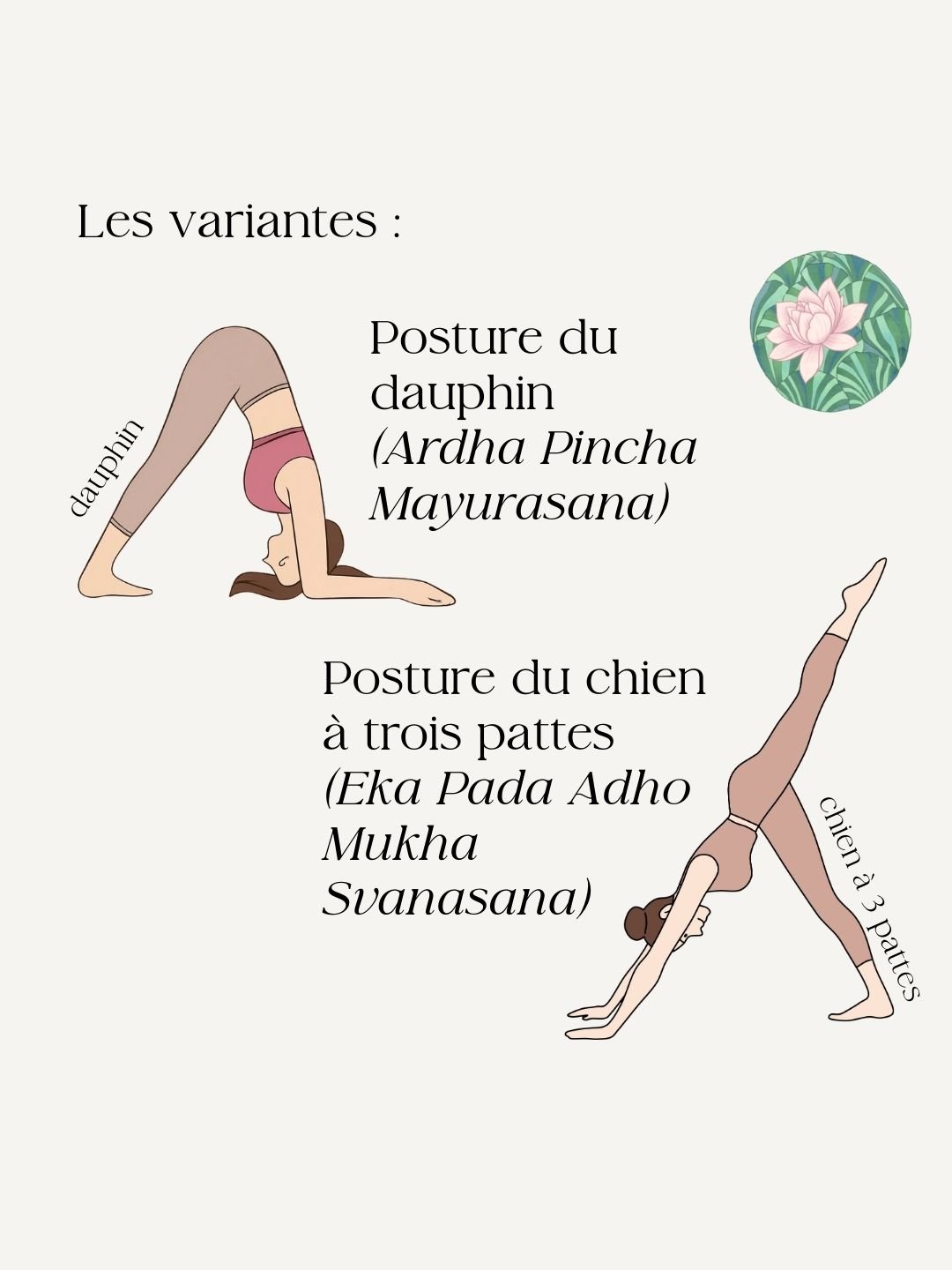 posture du chien tete en bas variantes