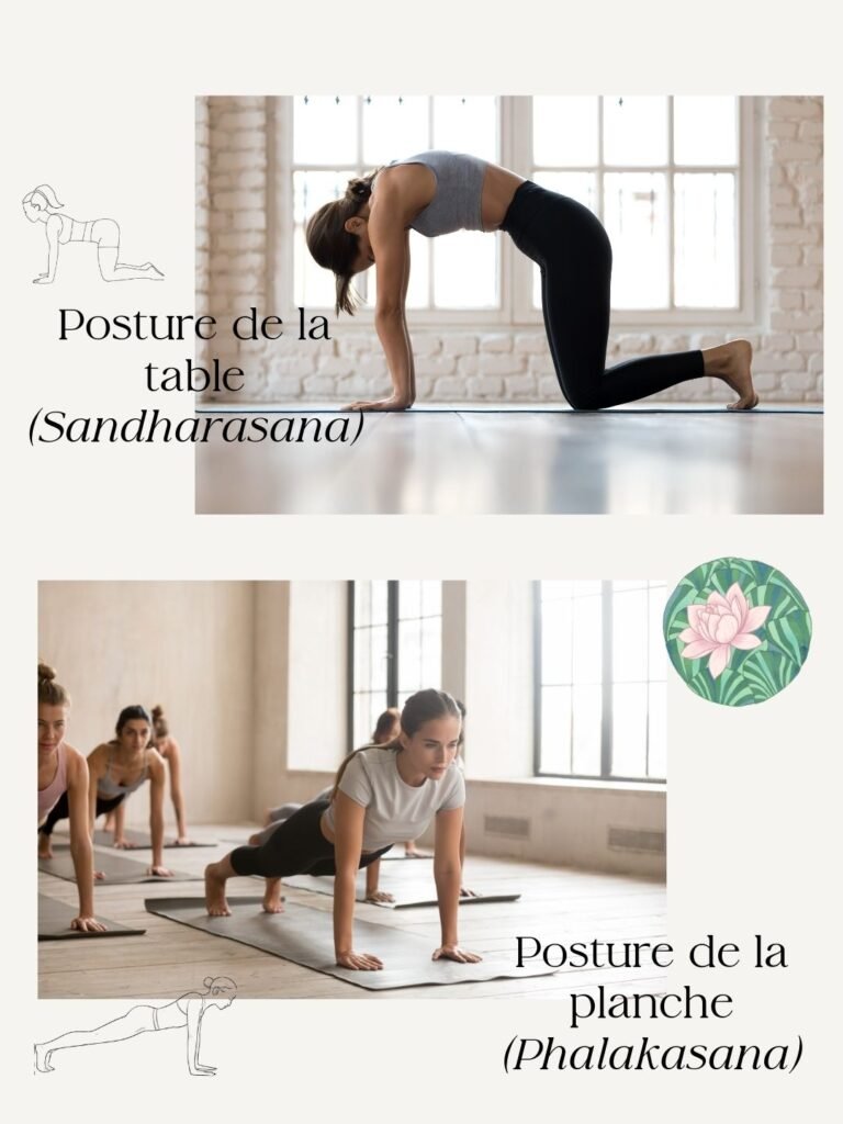 postures de depart pour le chien tete en bas