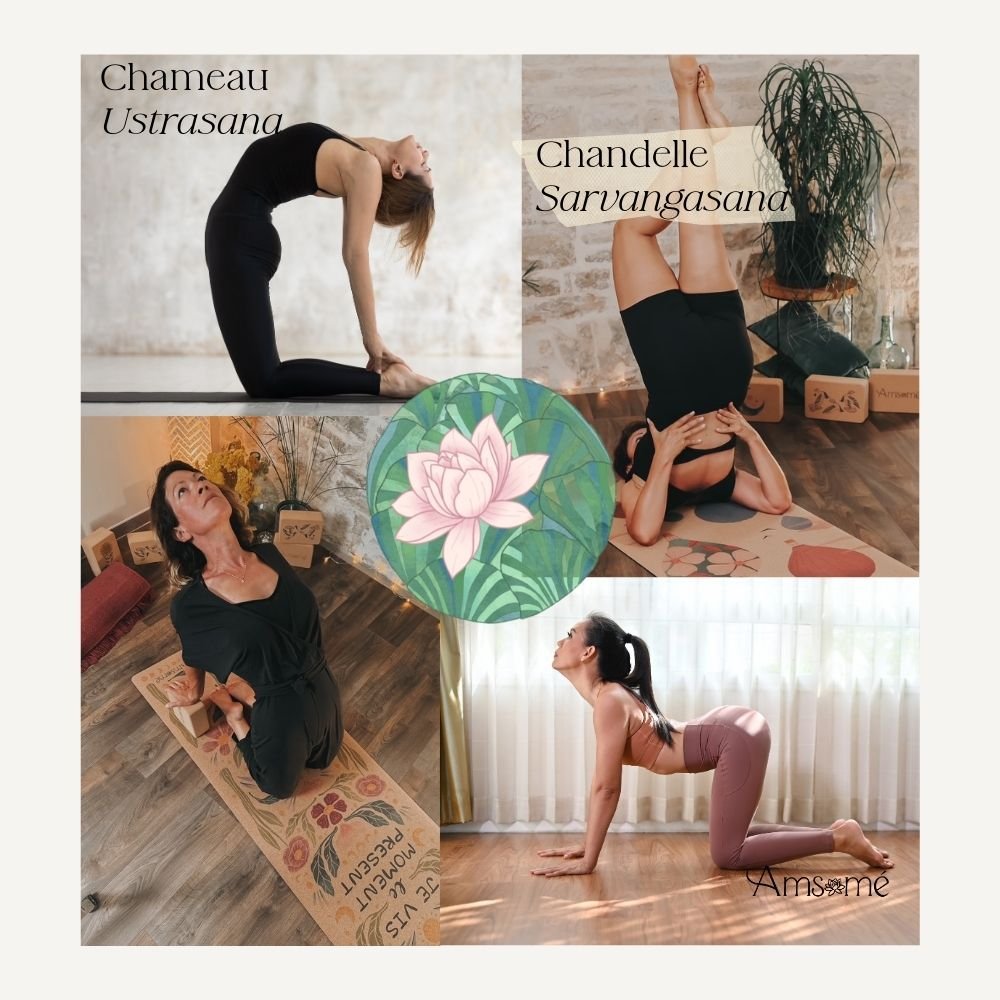 chakra-gorge-yoga2 postures de yoga pour ouvrir le chakra de la gorge